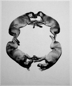 Image description is not available for 2001.073